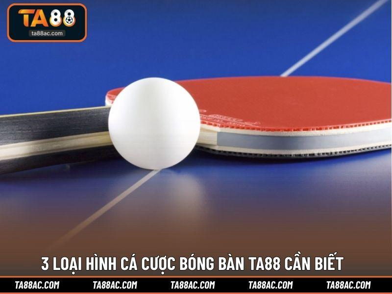 3 loại hình cá cược bóng bàn TA88 cần biết