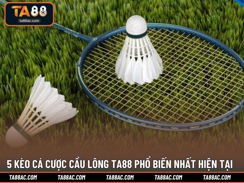 5 kèo cá cược cầu lông TA88 phổ biến nhất hiện tại