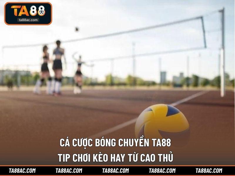 Cá Cược Bóng Chuyền TA88 – Tip Chơi Kèo Hay Từ Cao Thủ
