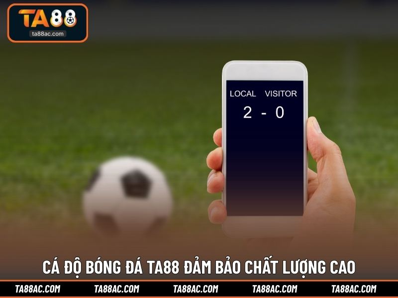 Cá độ bóng đá TA88 đảm bảo chất lượng cao