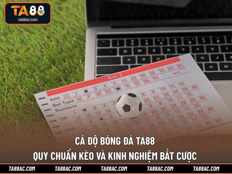 Cá Độ Bóng Đá TA88 - Quy Chuẩn Kèo Và Kinh Nghiệm Bắt Cược 