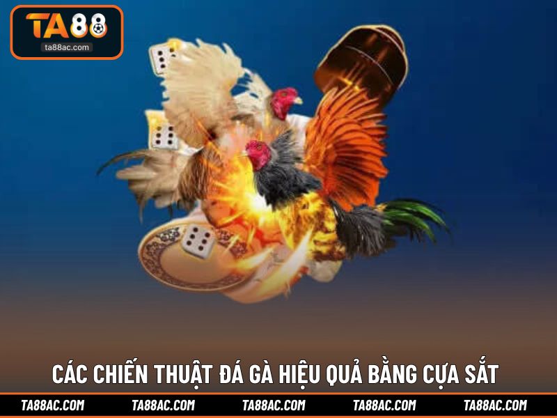 Các chiến thuật đá gà hiệu quả bằng cựa sắt