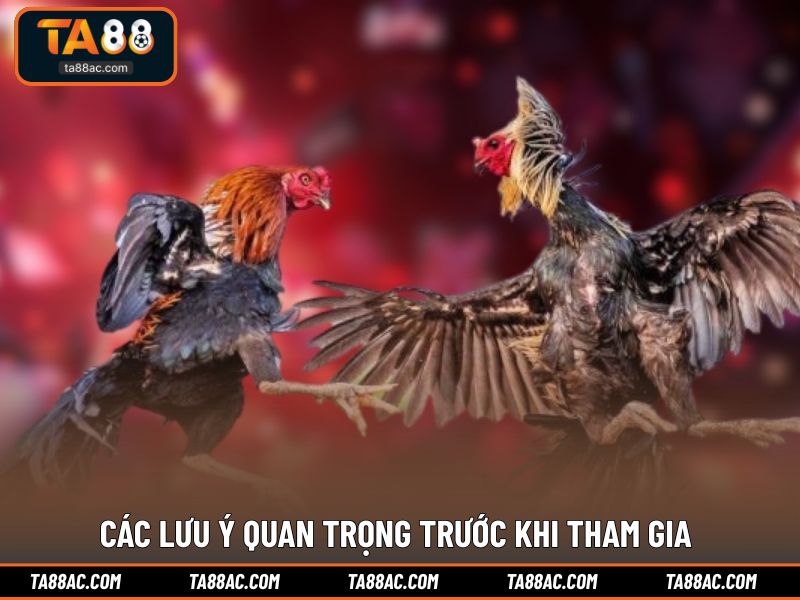 Các lưu ý quan trọng trước khi tham gia