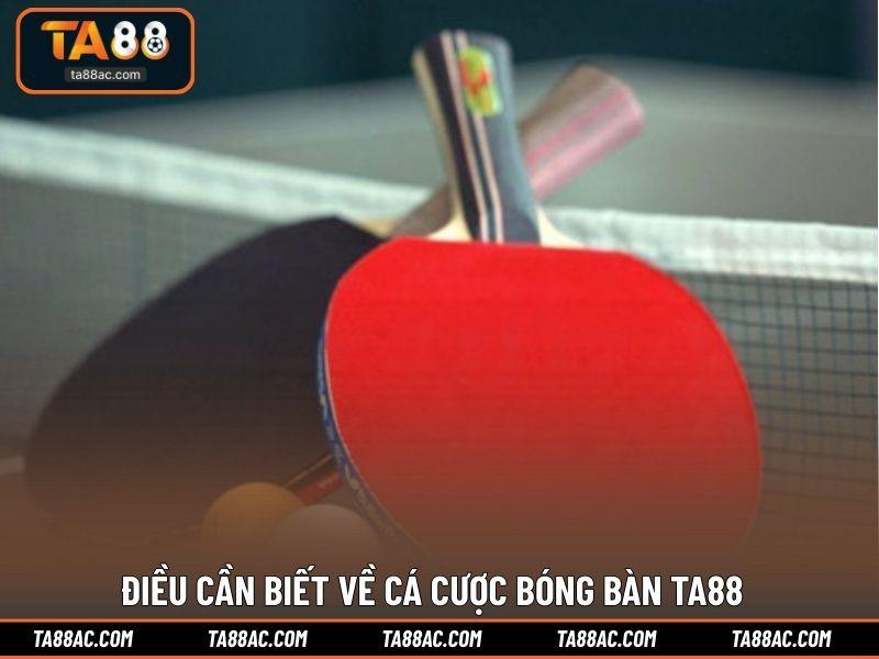 Điều cần biết về cá cược bóng bàn TA88