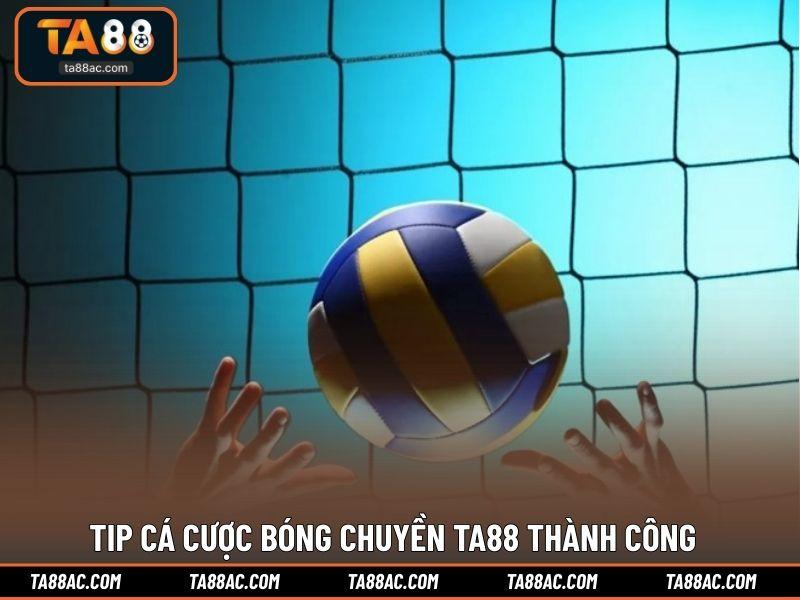 Tip cá cược bóng chuyền TA88 thành công